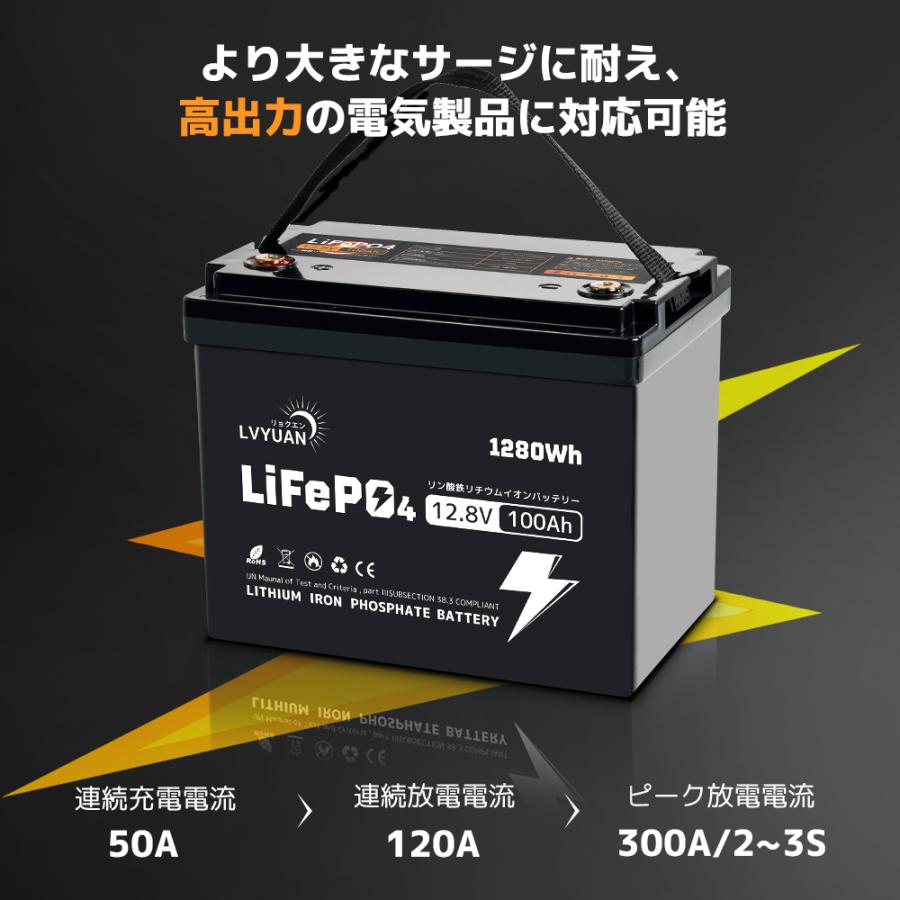 LVYUAN LiFePO4（リン酸鉄リチウム）電池 コンパクトモデル リン酸鉄 