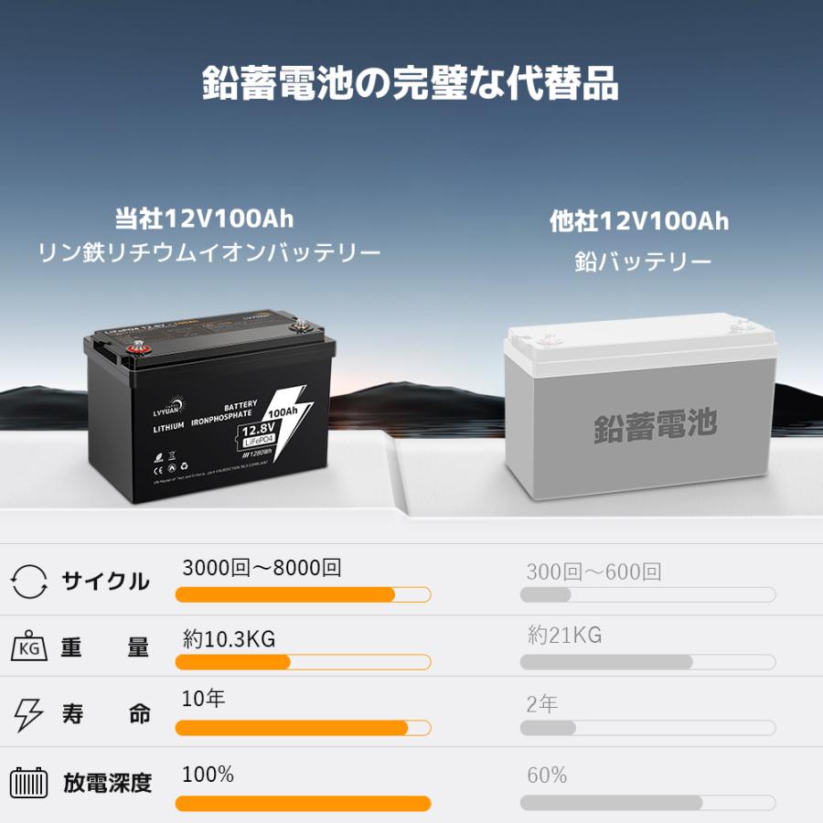 LVYUAN LiFePO4（リン酸鉄リチウム）電池 リチウムイオンバッテリー