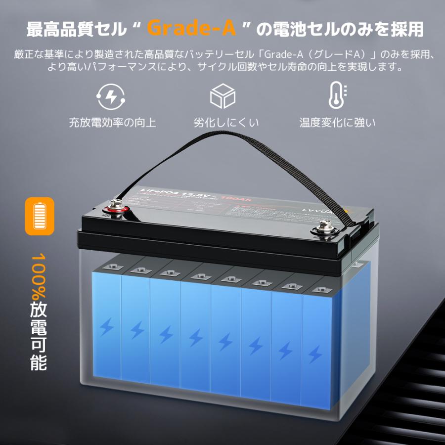LVYUAN LiFePO4（リン酸鉄リチウム）電池 リチウムイオン