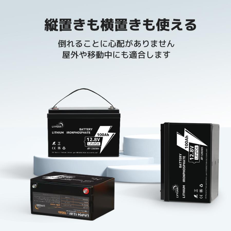 LVYUAN LiFePO4（リン酸鉄リチウム）電池 リチウムイオン