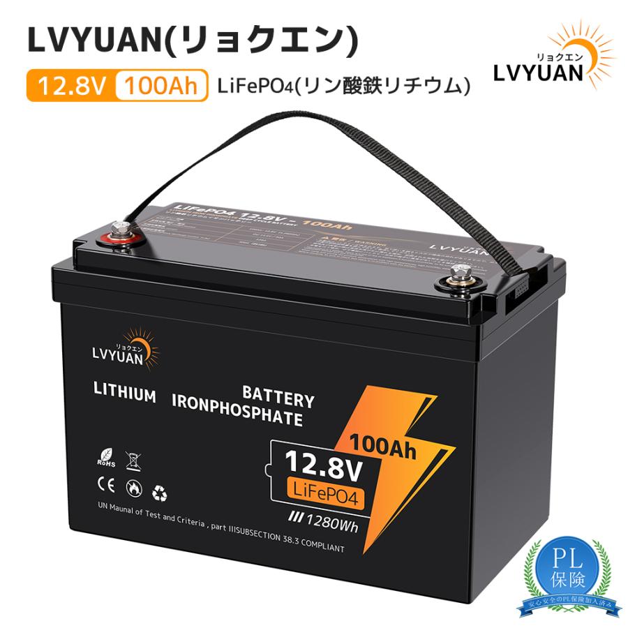 LVYUAN LiFePO4(リン酸鉄リチウム)電池 リチウムイオン LVYUAN LiFePO4(リン酸鉄リチウム)電池 リチウムイオン