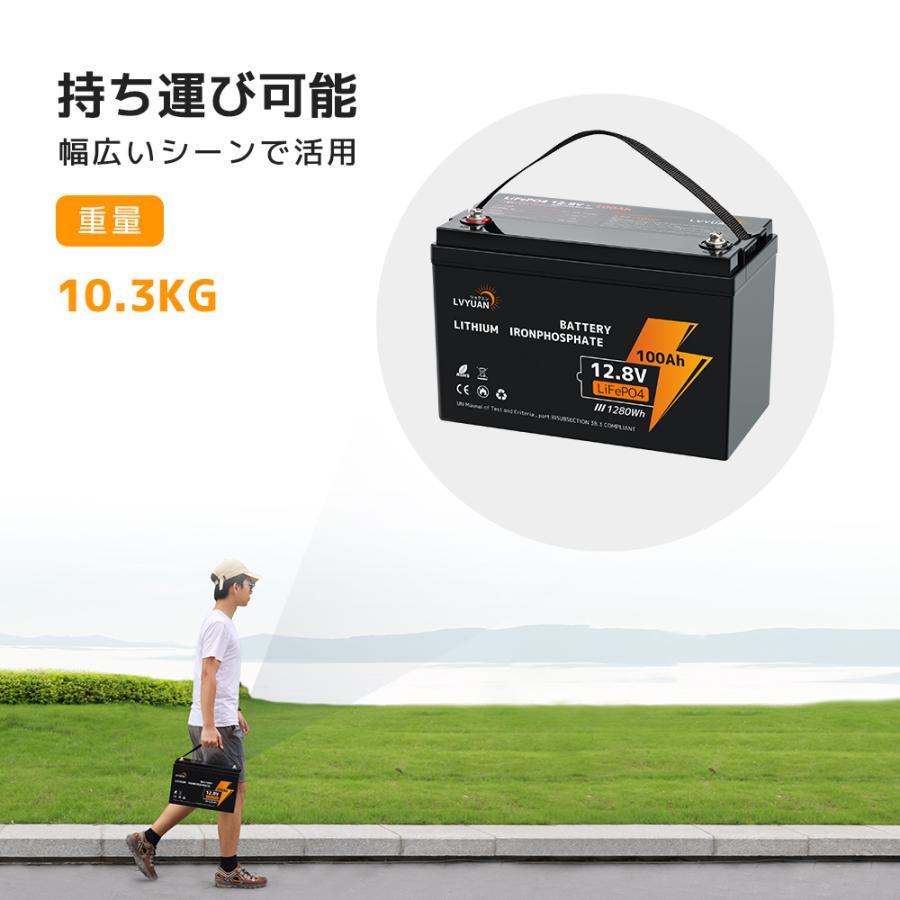 LVYUAN LiFePO4(リン酸鉄リチウム)電池 リチウムイオン LVYUAN LiFePO4(リン酸鉄リチウム)電池 リチウムイオン