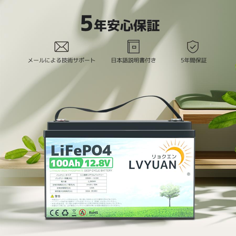 LVYUAN LiFePO4（リン酸鉄リチウム）電池 リチウムイオンバッテリー 12V 100AH 1280Wh 「5年保証」｜shoryu-store｜15