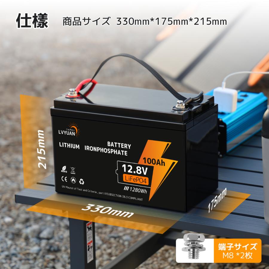 LVYUAN LiFePO4(リン酸鉄リチウム)電池 リチウムイオン LVYUAN LiFePO4(リン酸鉄リチウム)電池 リチウムイオン