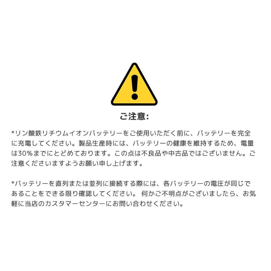 LVYUAN LiFePO4(リン酸鉄リチウム)電池 リチウムイオン LVYUAN LiFePO4(リン酸鉄リチウム)電池 リチウムイオン