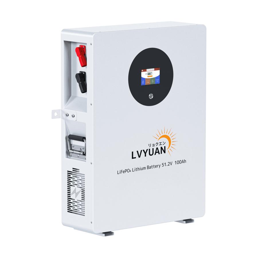 LVYUAN 51.2V 100AH 5.12kWh LiFePO4 リン酸鉄リチウムイオン 