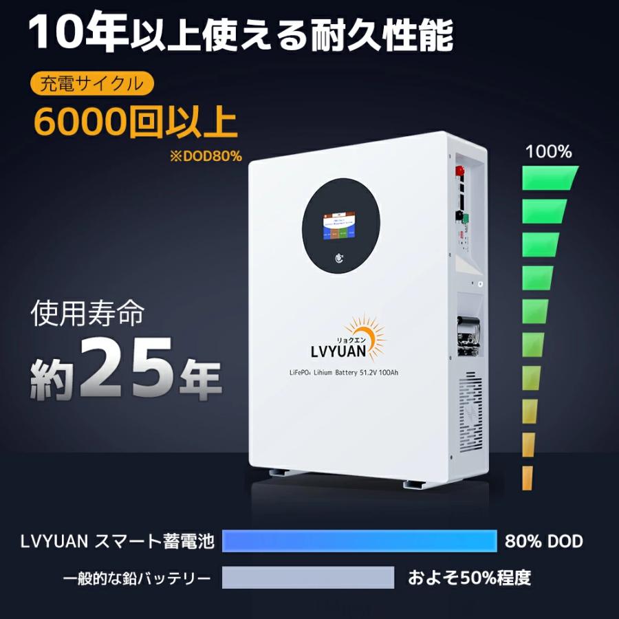 LVYUAN 51.2V 100AH 5.12kWh LiFePO4 リン酸鉄リチウムイオン