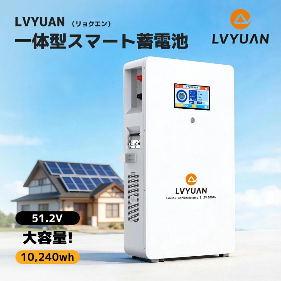 LVYUAN 51.2V 200AH 10.24Wh LiFePO4 リン酸鉄リチウムイオン