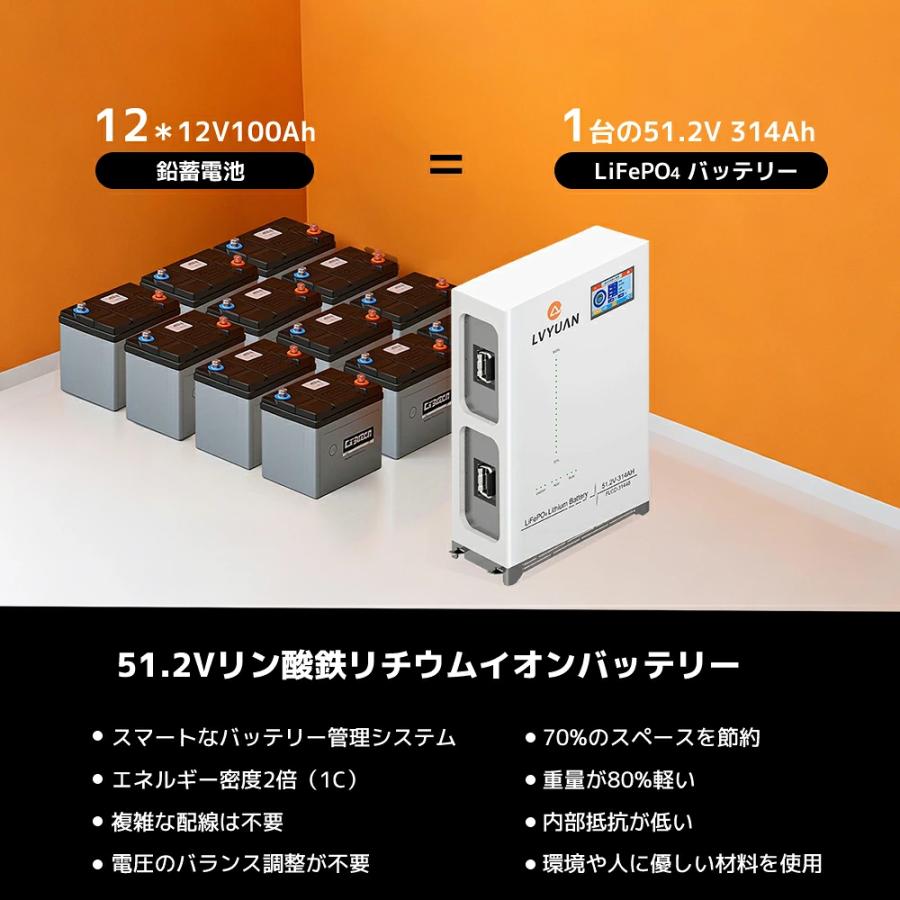 LVYUAN 51.2V 314AH 15.36Wh LiFePO4 リン酸鉄リチウムイオン