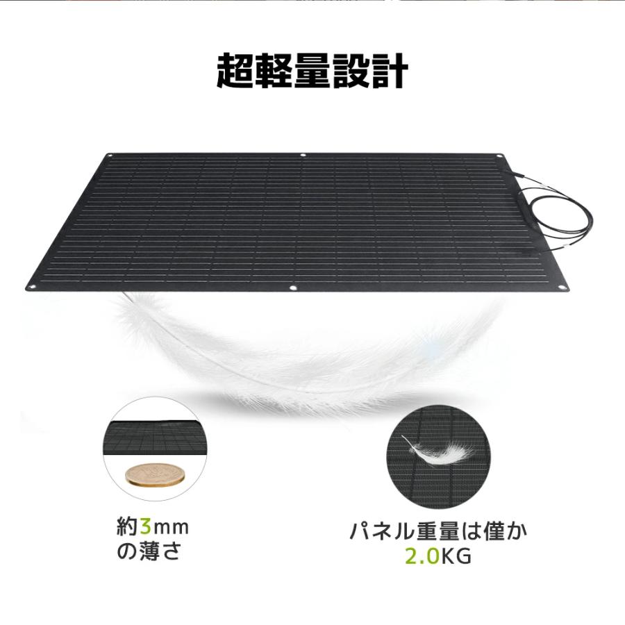 LVYUAN(リョクエン) 単結晶 ETFE 柔性 据置型 100W フレキシブル LVYUAN(リョクエン) 単結晶 ETFE 柔性 据置型 100W フレキシブル
