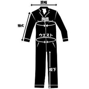 Dickies（ディッキーズ） プレミアムインシュレイティッドカバーオール