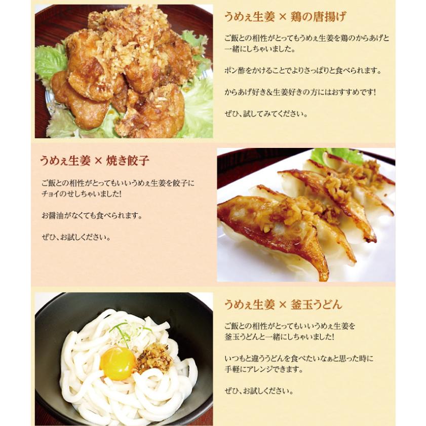 ［訳あり］賞味期限2026年7月14日　BIGサイズ うめぇ生姜（梅）240g 1本 |  | 06