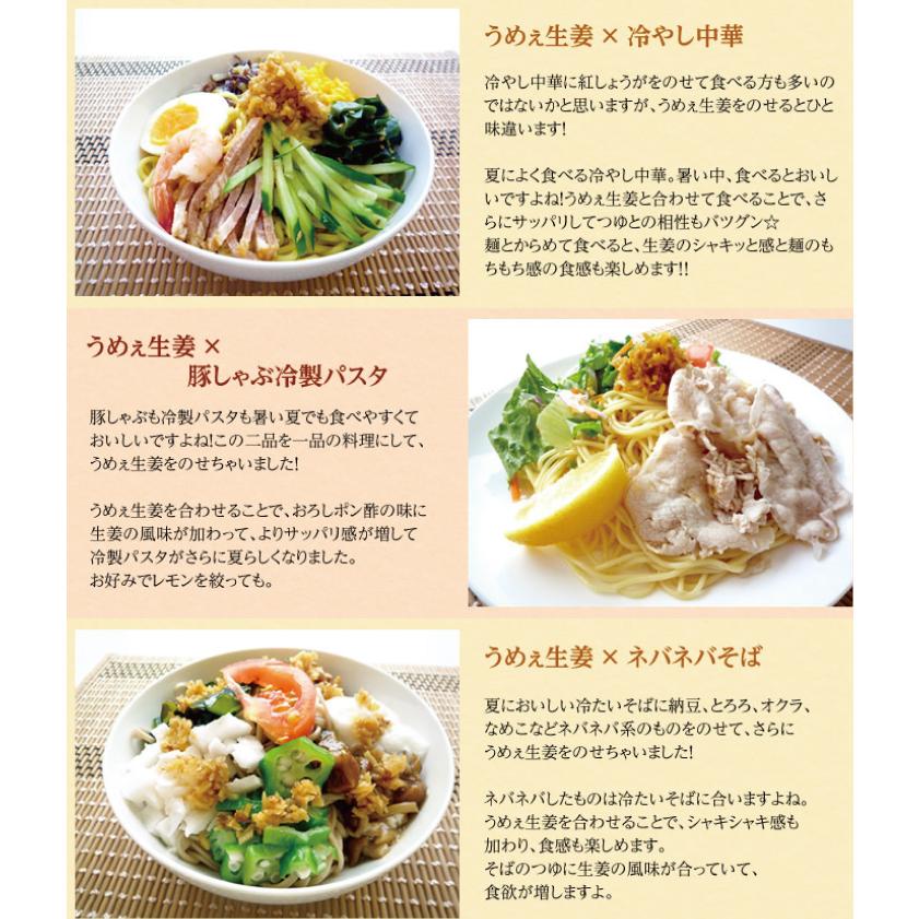 ［訳あり］賞味期限2026年7月14日　BIGサイズ うめぇ生姜（梅）240g 1本 |  | 09