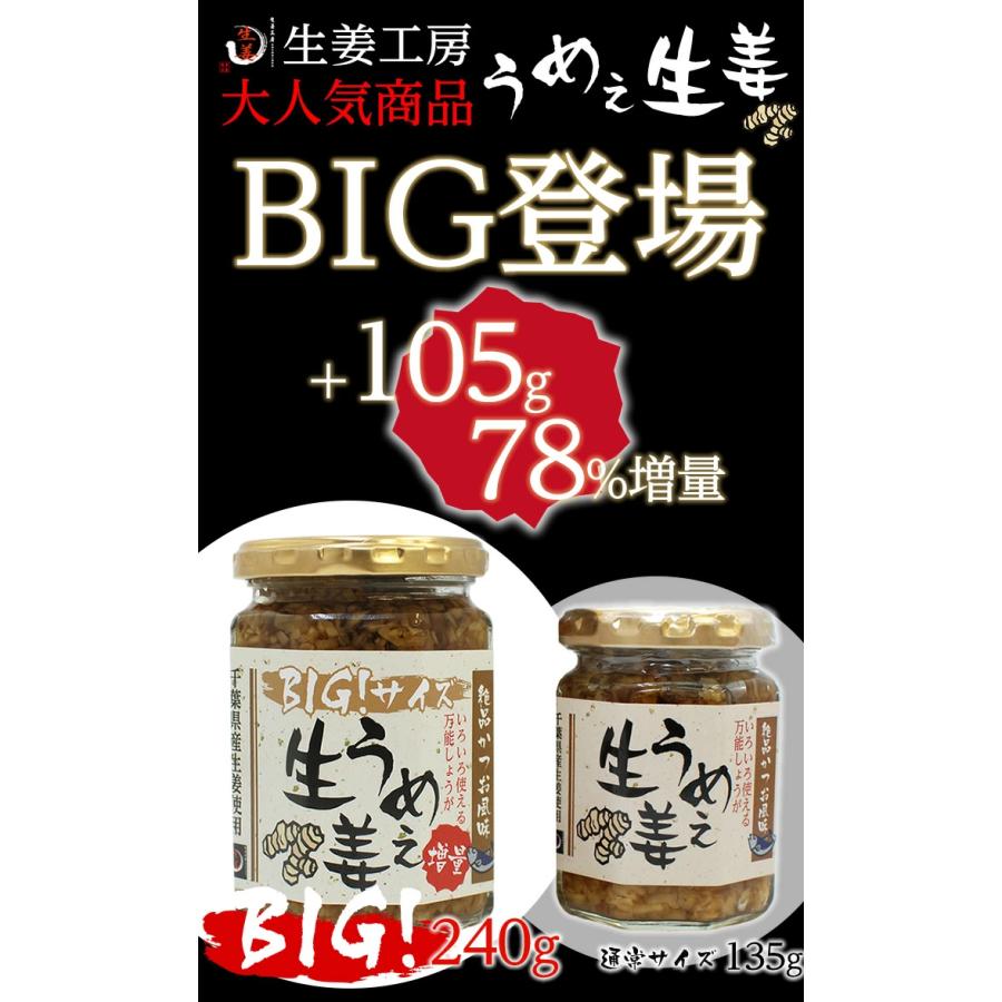 ［訳あり］賞味期限2026年7月14日　BIGサイズ うめぇ生姜（梅）240g 1本 |  | 01