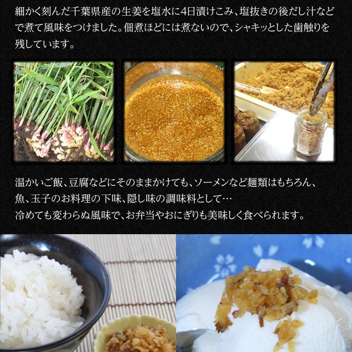 ［訳あり］賞味期限2026年7月14日　BIGサイズ うめぇ生姜（梅）240g 1本 |  | 03