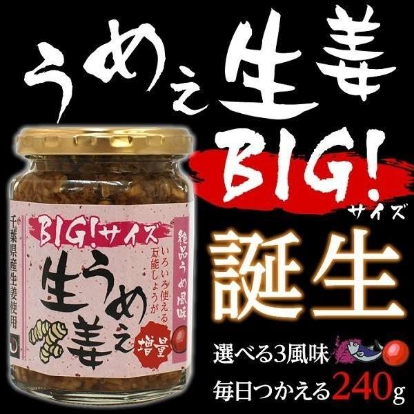 うめえ生姜 BIG(かつお・しそ・うめ) 3種セット送料無料(沖縄、離島を除く) |  | 01