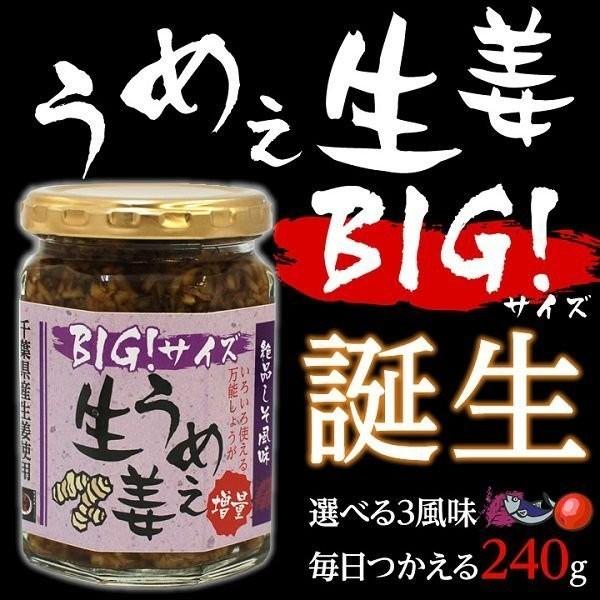 うめえ生姜 BIG(かつお・しそ・うめ) 3種セット送料無料(沖縄、離島を除く) |  | 02