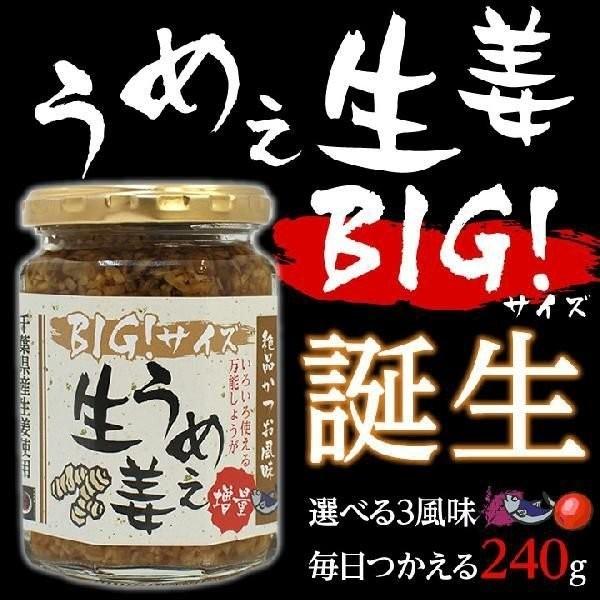 うめえ生姜 BIG(かつお・しそ・うめ) 3種セット送料無料(沖縄、離島を除く) |  | 03