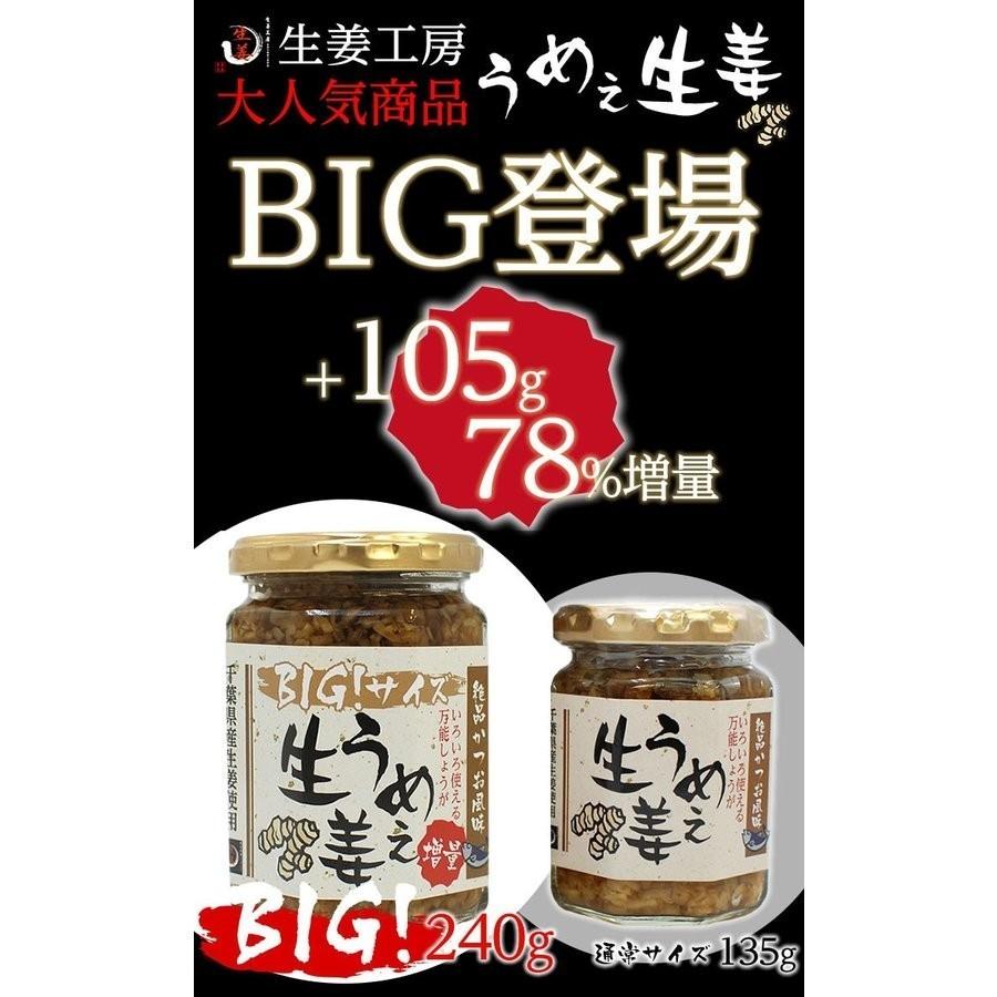 うめえ生姜 BIG(かつお・しそ・うめ) 3種セット送料無料(沖縄、離島を除く) |  | 04