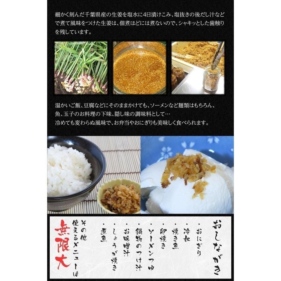 うめえ生姜 BIG(かつお・しそ・うめ) 3種セット送料無料(沖縄、離島を除く) |  | 05