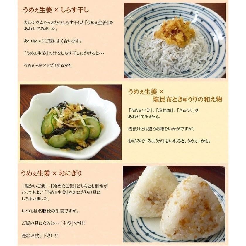 うめえ生姜 BIG(かつお・しそ・うめ) 3種セット送料無料(沖縄、離島を除く) |  | 06
