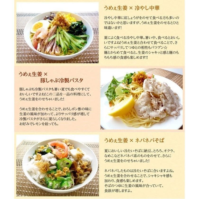 うめえ生姜 BIG(かつお・しそ・うめ) 3種セット送料無料(沖縄、離島を除く) |  | 07