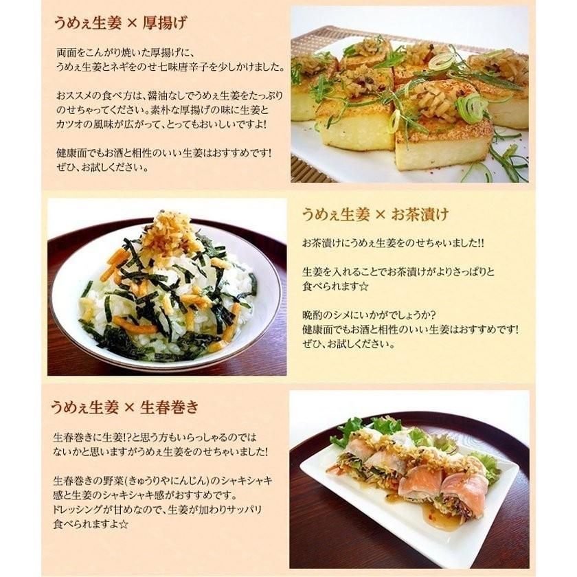 うめえ生姜 BIG(かつお・しそ・うめ) 3種セット送料無料(沖縄、離島を除く) |  | 09