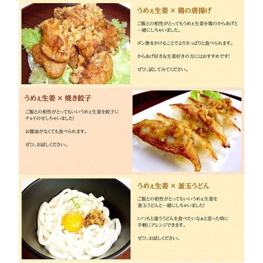 うめえ生姜 BIG(かつお・しそ・うめ) 3種セット送料無料(沖縄、離島を除く) |  | 08