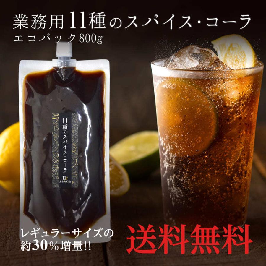 業務用11種のスパイスコーラエコパック800g ゆうパケット送料無料 Cola Eco 生姜工房 通販 Yahoo ショッピング