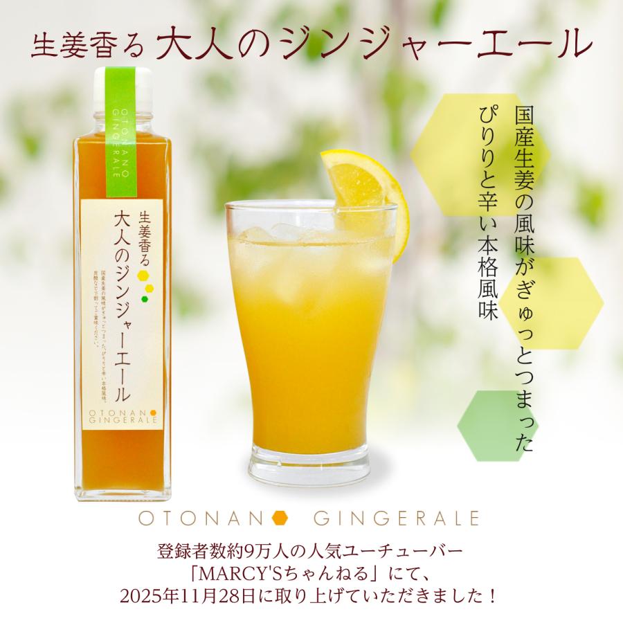 大人のジンジャーエール 370g 1本 : 生姜工房 - 通販 - Yahoo!ショッピング