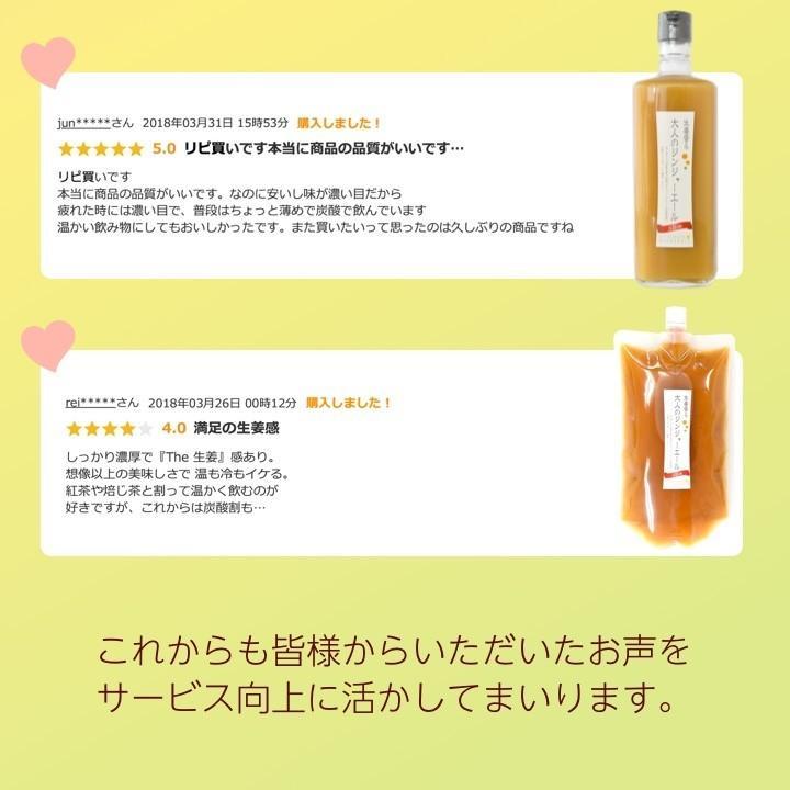 業務用 大人のジンジャーエール 870g 2本 送料無料(沖縄、離島を除く