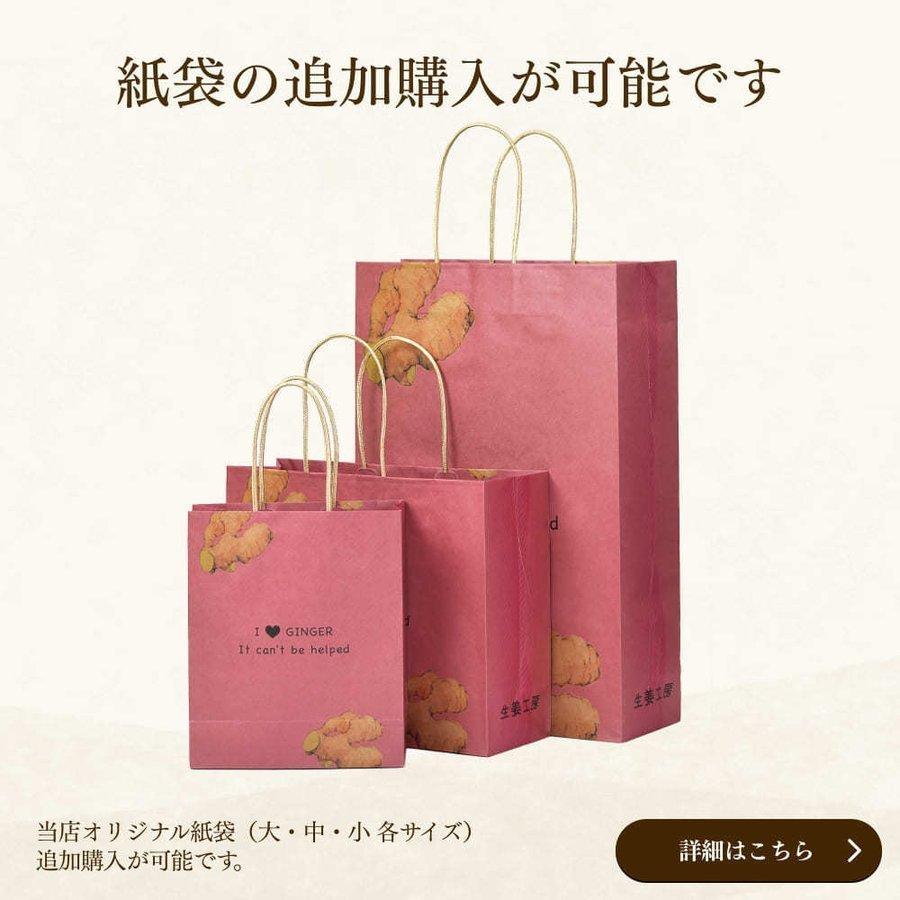 業務用大人のジンジャーエール 2本セット 送料無料(沖縄除く