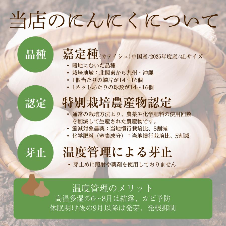 2026年度産 嘉定種ホワイトにんにく種球（4L） 1kg×3ネット 中国産（特