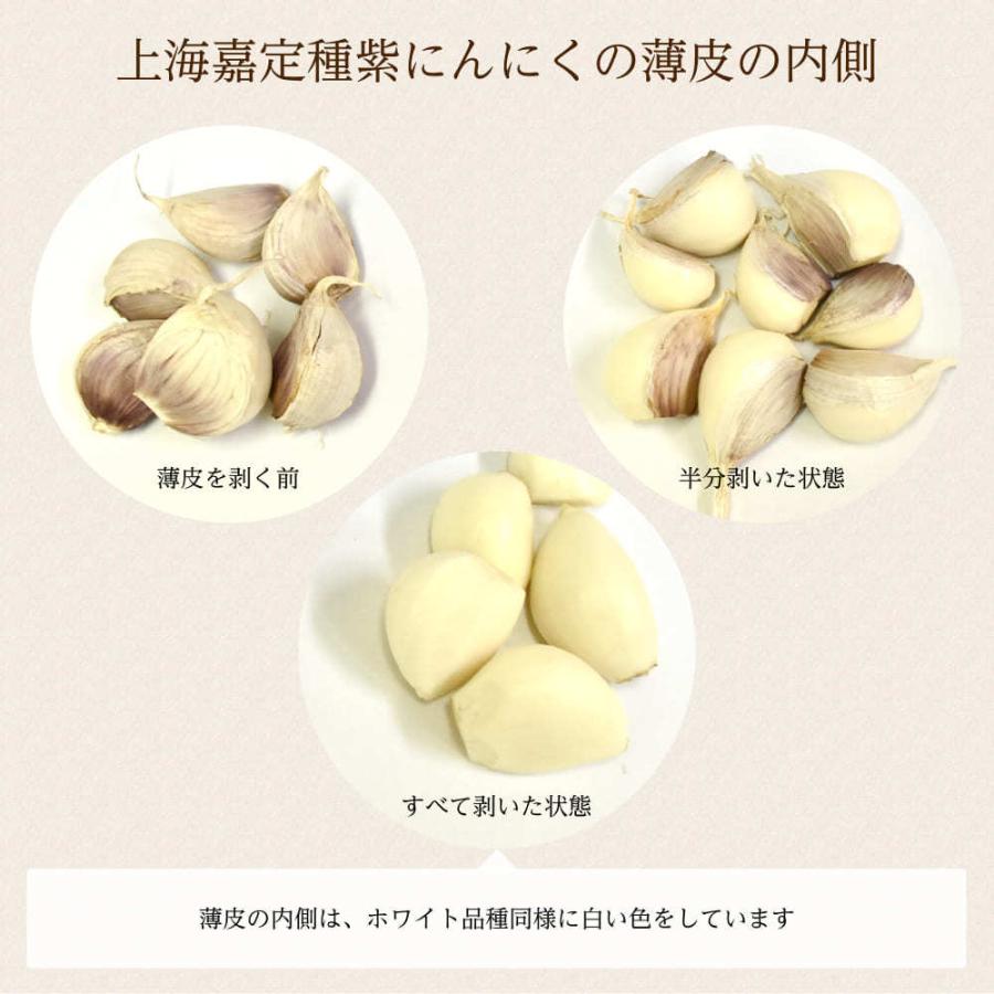 種用】上海嘉定種（紫にんにく）バラシ 3g前後/1kg : 生姜工房 - 通販