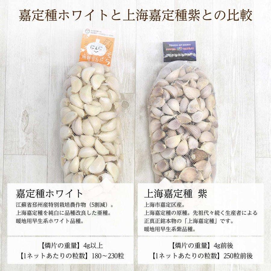 上海嘉定種紫 バラシにんにく 5kg 中国産 送料無料（沖縄除く）※バラした状態でのお届けになります |  | 05