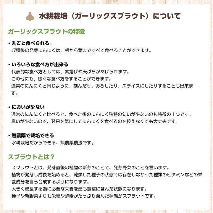 上海嘉定種紫 バラシにんにく 5kg 中国産 送料無料（沖縄除く）※バラした状態でのお届けになります |  | 07