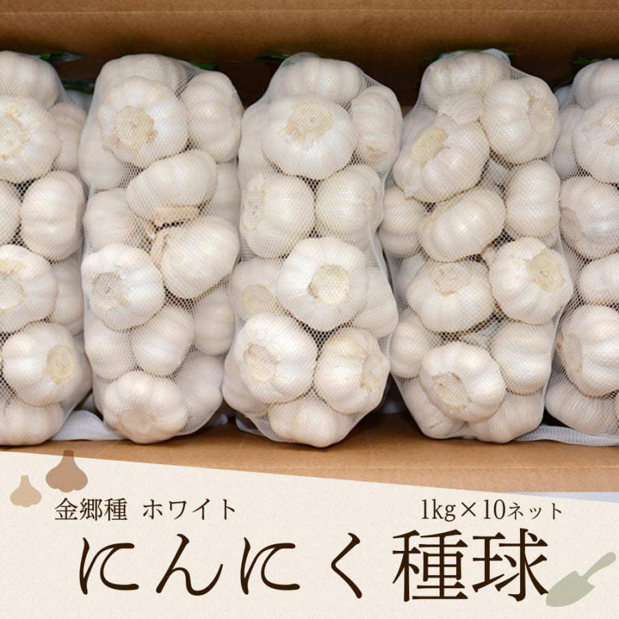 金郷種ホワイト にんにく種球 定価の67％ＯＦＦ 蔵 1kg×10ネット 中国産