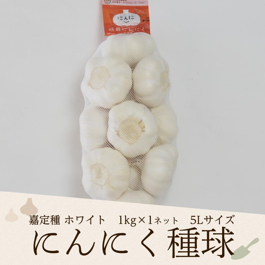 2025年度産 嘉定種ホワイトにんにく種球（5L） 1kg×1ネット 中国産（特