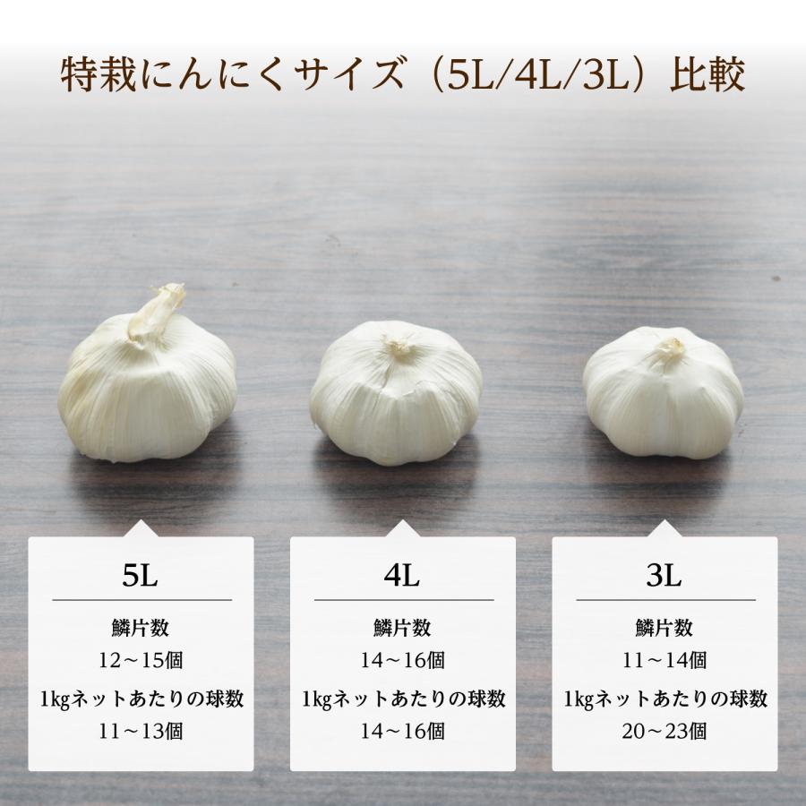食用】特栽にんにく 5L/1kg ×3 (中国規格5Lサイズ/1kgネットの目安玉数