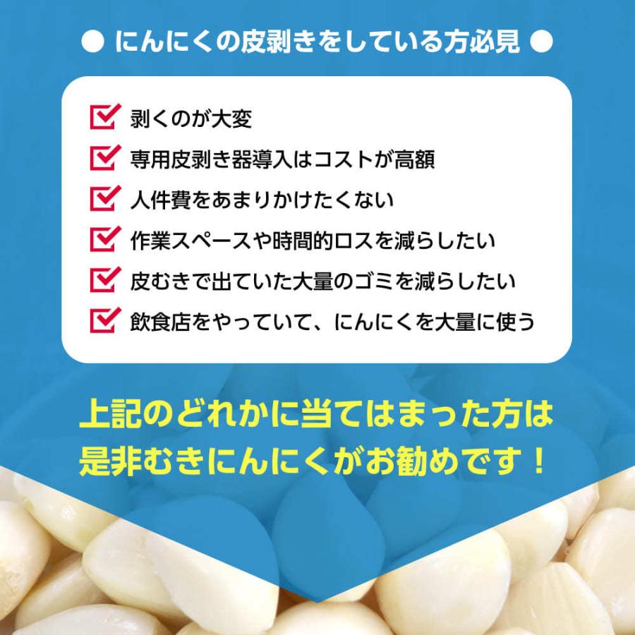 2025年度産 冷蔵 中国産 ムキにんにく 大粒サイズ 1kg×3パック 真空