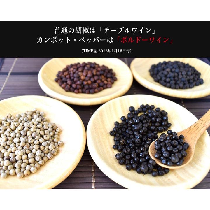 カンポットペッパー 黒胡椒 20g 1袋 ゆうパケット送料無料 |  | 01