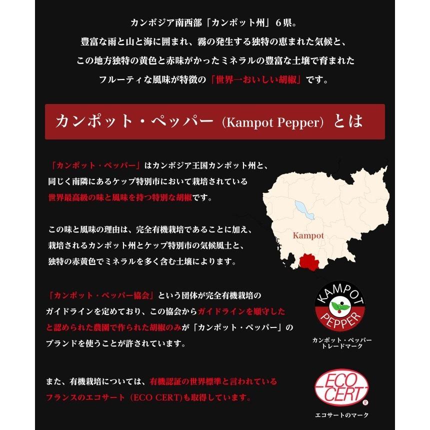 カンポットペッパー 黒胡椒 20g 1袋 ゆうパケット送料無料 |  | 02