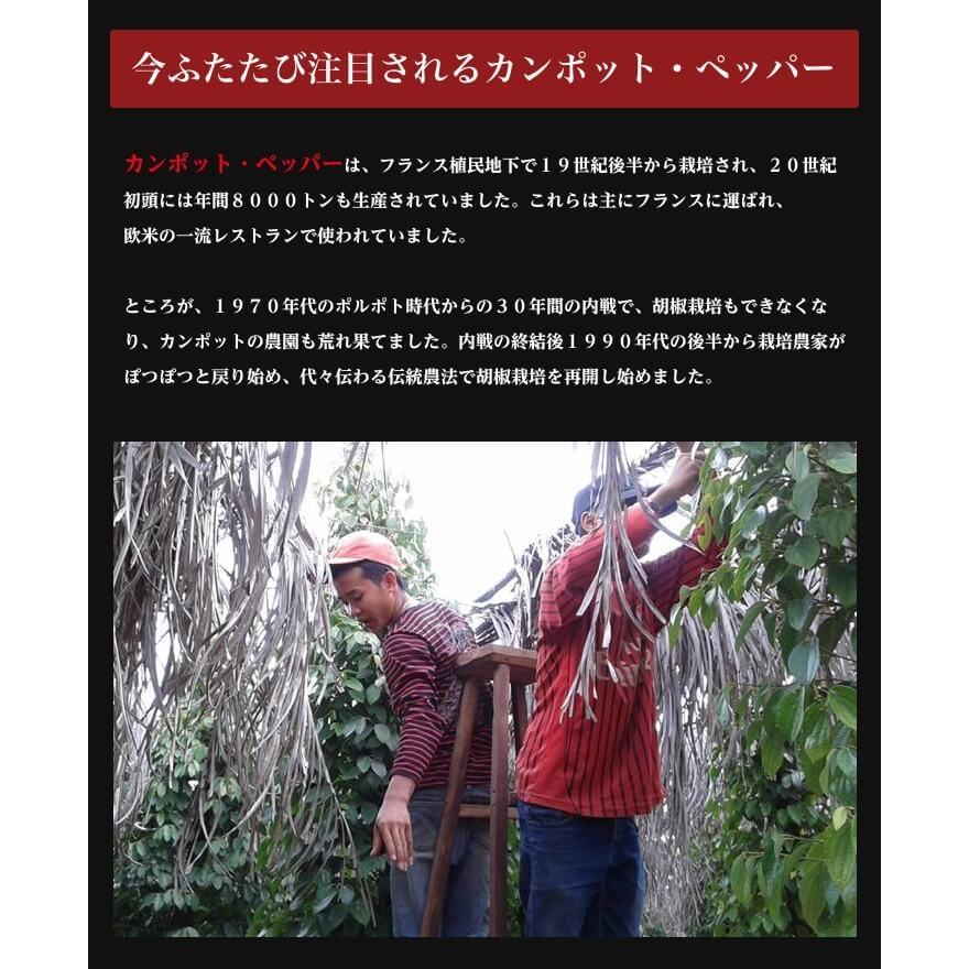 カンポットペッパー 白胡椒 20g 1袋 ゆうパケット送料無料 |  | 04