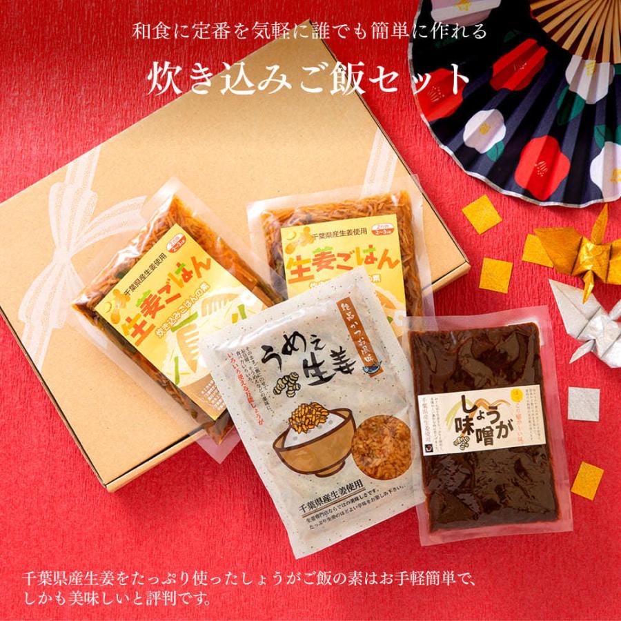 お洒落 1000円ポッキリ ごはんがすすむ紅ショウガ 紅生姜 小袋 しょうが桜 小分けサイズ 45gx7 お洒落 1000円ポッキリ ごはんがすすむ紅ショウガ 紅生姜 小袋 しょうが桜 小分けサイズ 45gx7