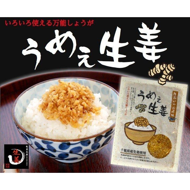 炊き込みご飯セット ゆうパケット送料無料【ギフト】 : 生姜工房