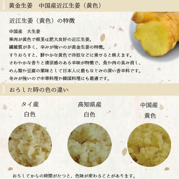 食用 中国産 黄金生姜 1kg（近江生姜 黄色） : 生姜工房 - 通販