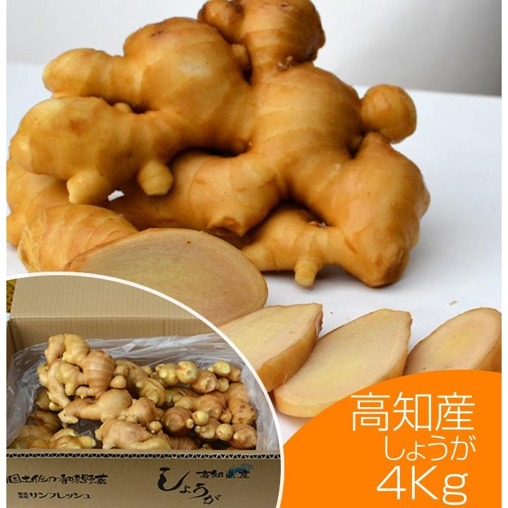 食用 高知県産近江生姜（白）4kg : 生姜工房 - 通販 - Yahoo!ショッピング