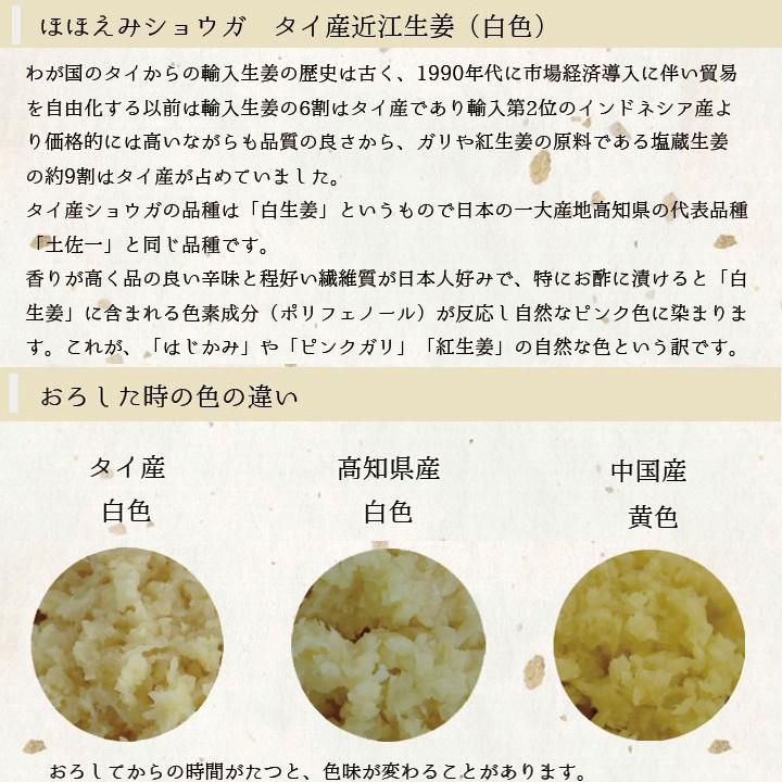 食用 タイ産ほほえみショウガ 10kg（近江生姜 白） : 生姜工房 - 通販