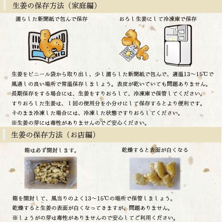 食用 タイ産ほほえみショウガ 10kg（近江生姜 白） :seika-thai-10 
