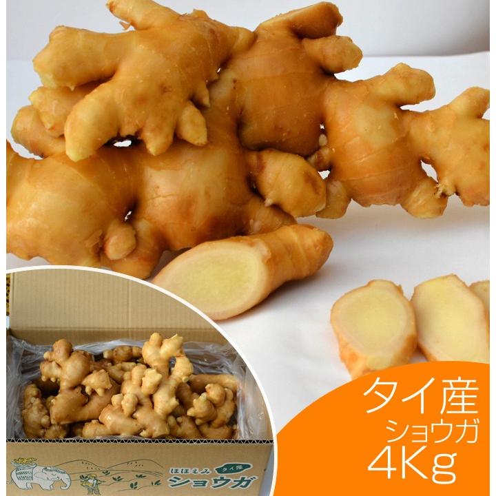 食用 タイ産ほほえみショウガ 4kg 新作商品 白 近江生姜